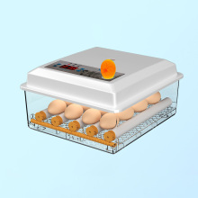 Small Home Egg Incubator Best Selling Automatic Smart Control Poultry Egg Incubator