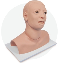 Model for Ear Irrigation Training