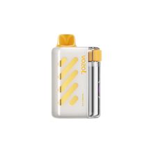 Vozol Vista 40k puffs wholesale vape