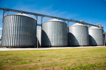 High-efficiency screw feeder bin for pulses