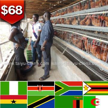 Naira account chicken cage galvanized chicken farm farm