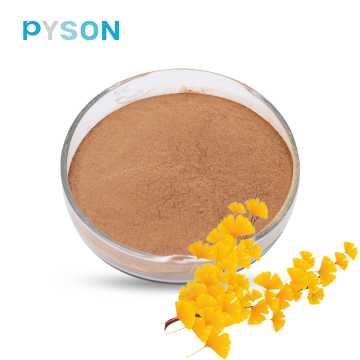 ginkgo biloba leaf extract ginkgo biloba Extract Powder