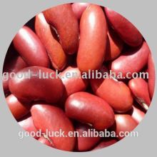 cheap dark red kidney bean