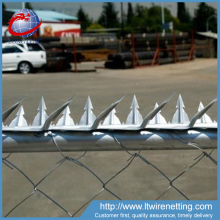 Factory price wholesale galvanized wall spiked strips,wall spiked strips