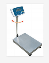 Stainless Steel Type Platform Scale