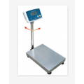 Carbon Steel Cover Platform Scale