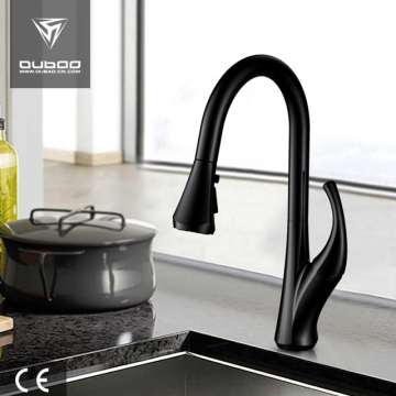 1-Handle Pulldown Kitchen Sink Faucet With Sprayer