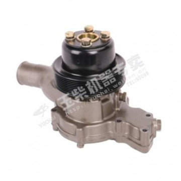 E2100-1307020G E2100-1307020E E2100-1307020 Water Pump