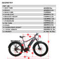 48V1000W Fat-HD All Terrain Fat Tire Electric Mountain Bike Bike Caza eléctrica/bicicleta de pesca