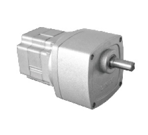 Dc Brushless Permanent Magnet Motor