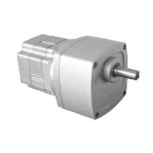 Dc Brushless Permanent Magnet Motor