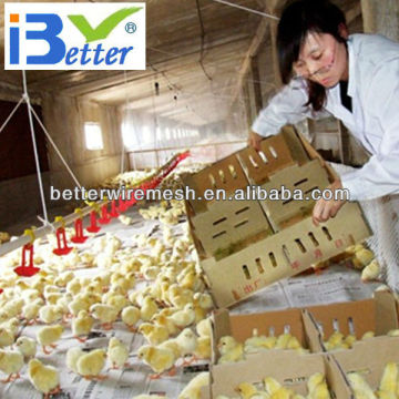 BT factory mechanized poultry farming for broiler chicken