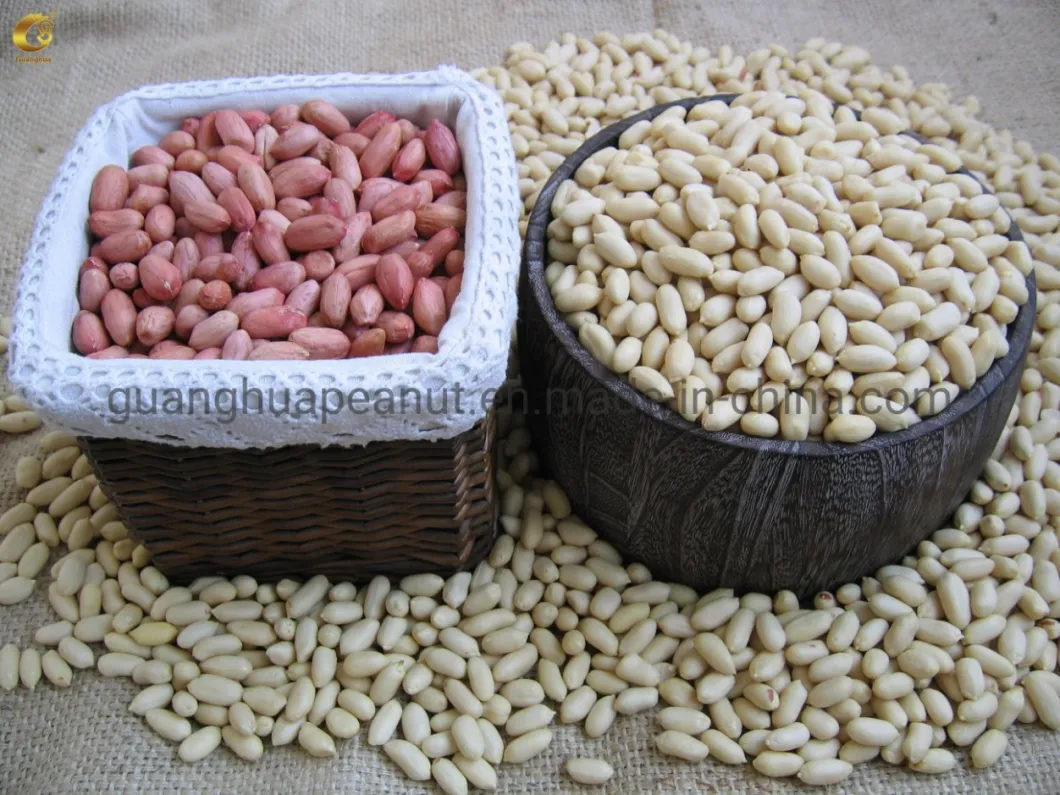 Hot Sales 2021 New Crop Blanched Peanut Kernels