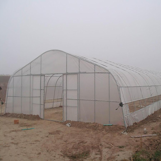 Easy Installation agriculture PE Film Greenhouse