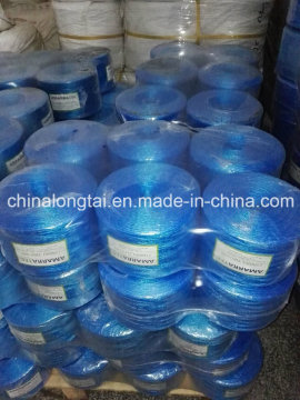 Durable Hot Sell PP Raffia String