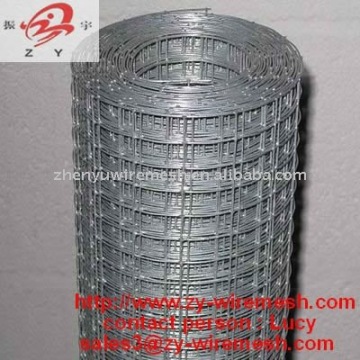 plain welded wire mesh fabric ( best quality , low price , 13 years factory )