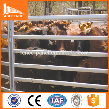 heavy duty cattle panel/used horse fence panels/portable yard fence