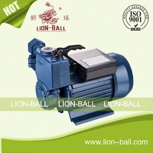 Ningbo Lion-ball new self-priming peripheral water pump WZB