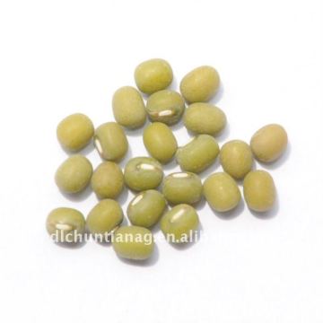 Chinese green mung bean super organic