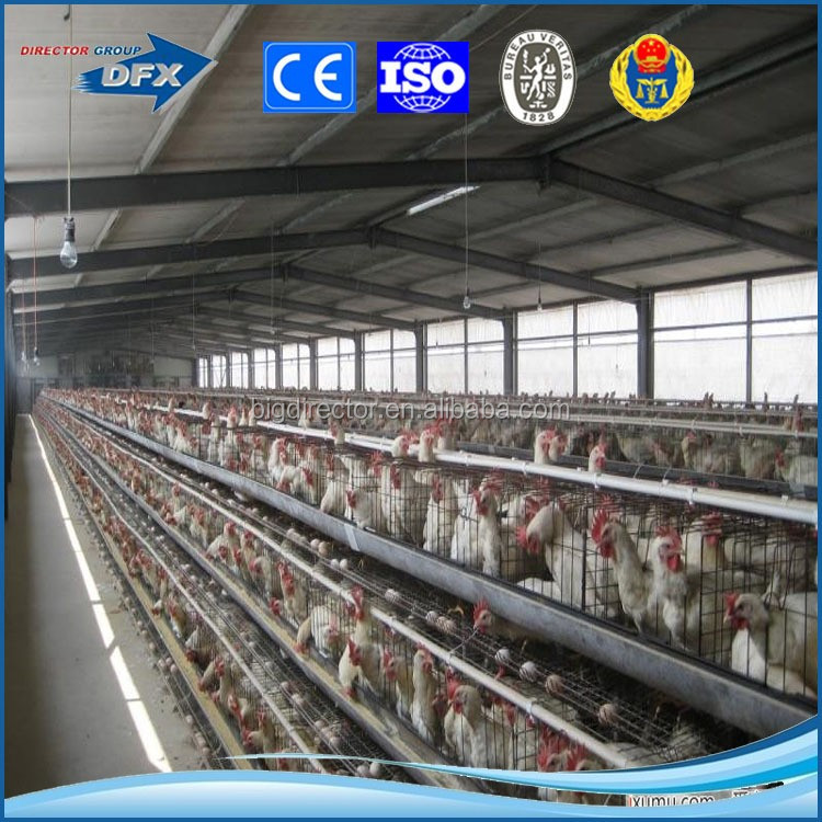 Qingdao Dao Manufacture Pre engineered Steel Structure Closed Poultry Farm System House Building