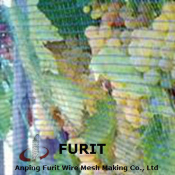 vegetables protection net/Fruit protection net/bird protection net