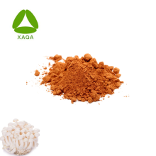Supplement White Shimeji Beech Mushroom Extract Powder