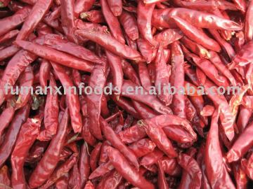 chaotian chilli