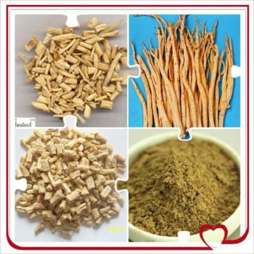 Chinese wholesale Codonopsis Pilosula Extract/Pilose Asiabell Root extract 30% polysaccharide