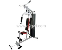 Home Gym One Station And Three Station?