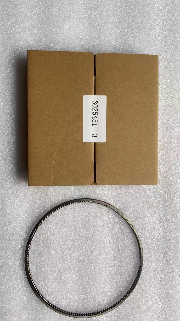 Piston Ring 3025451