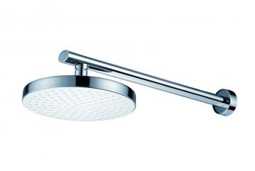 SHOWER ARM ROUND ROSE