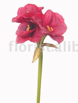 Lg. artificial Amaryllis