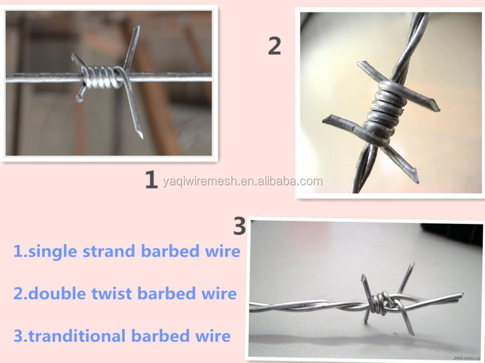 12 x12 Gauge Electro / Hot Dip Galvanized Barbed Wire