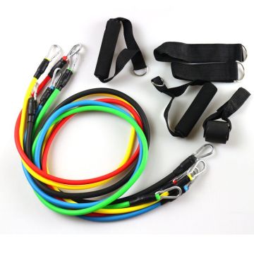 Resistance Band Set with Door Anchor, Ankle Strap, Exercise Chart, and Carrying Case