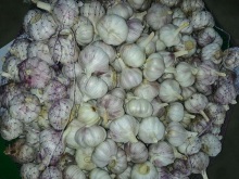 How To Store Fresh Garlic