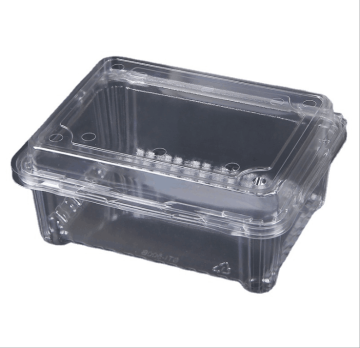 Ready to ship fruit tray  Food packaging eggs packaging custom size  plastic tray