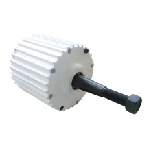 Russia Warehouse 2KW 48V/96V low RPM generator