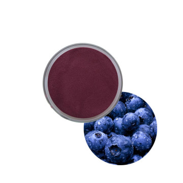 Blueberry Extract Powder anthocyanins fruit powder