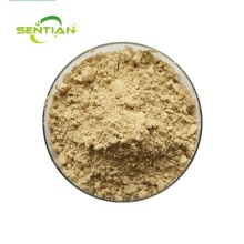 Gynostemma Pentaphyllum Leaf Extract Gynostemma Gypenosides
