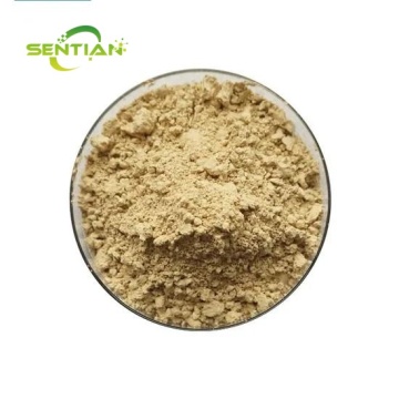 Gynostemma Pentaphyllum Leaf Extract Gynostemma Gypenosides