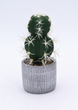 Mini plastic decorative fake cactus succulent with planter