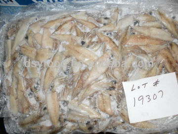 Frozen California Squid Price