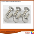 Brightfastener Din603 Βίδες μεταφοράς