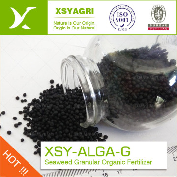 organic Seaweed Granule fertilizer with NPK