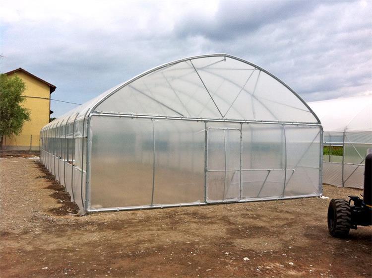 Tunnel Plastic Film Greenhouse for Vegetables Flowers