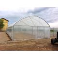 Tunnel Plastic Film Greenhouse for Vegetables Flowers