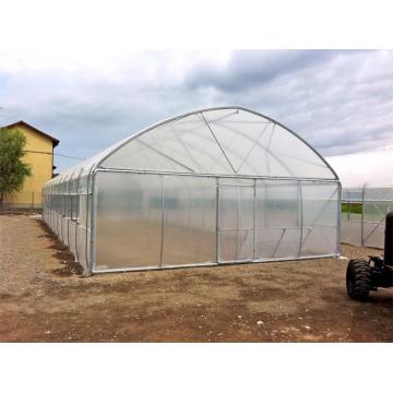 Invernadero único barato para plantación médica