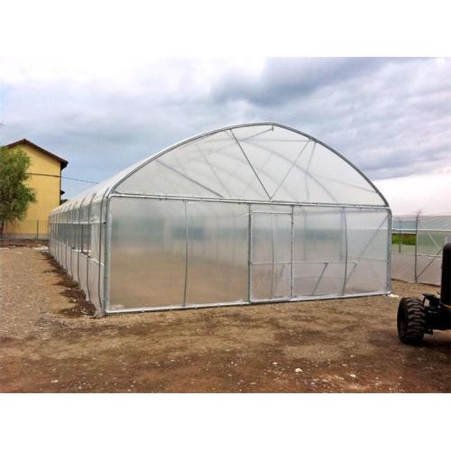 Película agrícola Túnel Invernadero de plástico para Lettuces