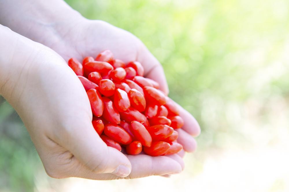 Ningxia Baru tanaman organik / residu rendah Goji berry