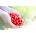 Ningxia New crop Organic / Low residue Goji berry